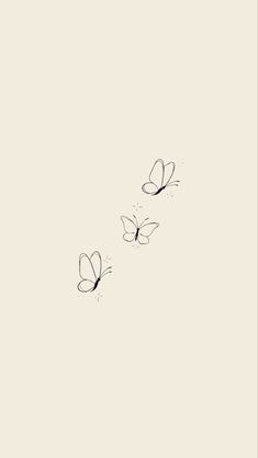 two butterflies flying in the sky