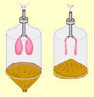 three different types of liquid in glass containers