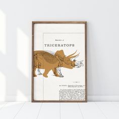 an illustration of tricetatops is shown on the wall next to a framed poster