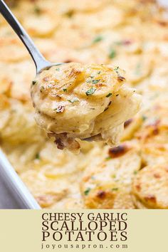 a spoonful of cheesy garlic scalloped potatoes is being lifted from a casserole dish