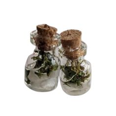 three small glass jars filled with plants