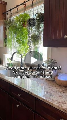 a kitchen counter with plants hanging from the ceiling and an advertise that reads, need more places for plants? skip the curtains and hang plants instead