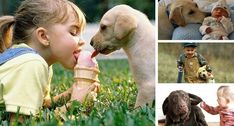 there are pictures of dogs and children in the same photo, one is eating an ice cream cone