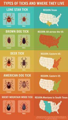 different types of ticks in the united states and their names on each one side