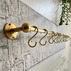 gold hooks are hanging on the wall next to a white towel rack and green potted plant