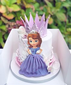 there is a cake with a princess on it