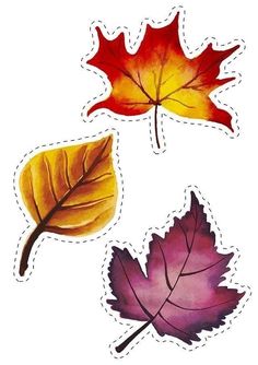 three autumn leaves are shown on a white background