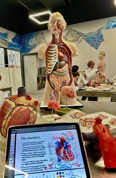 an open laptop computer sitting on top of a table next to a model of the human body