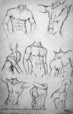 some drawings of different poses and muscles