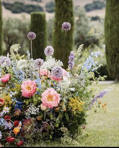 a bunch of flowers that are sitting in the grass near some trees and bushes with long stems sticking out of them