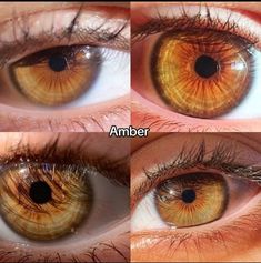 Hazel Eyes Color Palette, Amber Eyes Color, Hazel Brown Eyes, Hazel Contacts, Human Doll, Gender Fluid Fashion