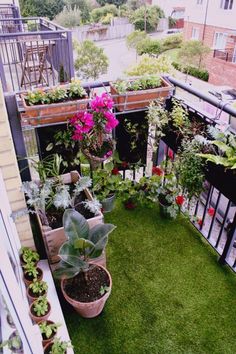 an apartment balcony with potted plants on the roof and green grass in the foreground