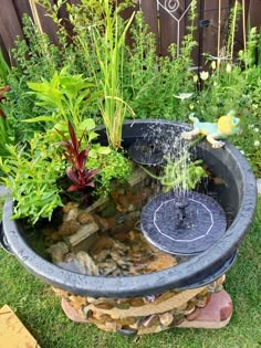 an outdoor fountain in the middle of a garden with rocks, plants and water coming out of it