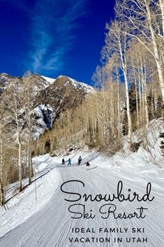 people skiing down a snow covered mountain with the words snowbird shii resort on it