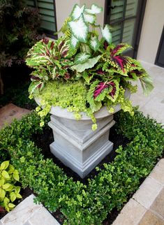 a planter filled with lots of green plants