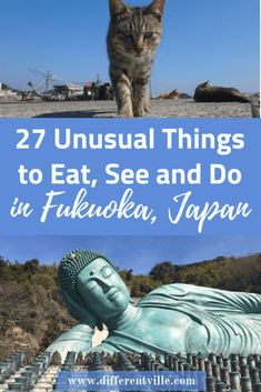 a cat sitting on top of a buddha statue with the words 27 unusual things to eat, see and do in fukuba, japan