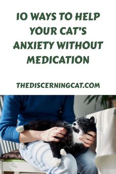 Unlike humans, cats can’t describe exactly how they’re feeling, but they use their behavior and body language to communicate distress and negative emotions to their fur parents. Anxiety in cats can show up in subtle Calming Cat, Cat S, Loud Noises, Stressful Situations