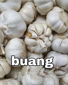 a pile of white garlic with the word buang in front of it and an image of