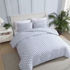 a bed with blue and white comforters in a room next to a plant on the floor