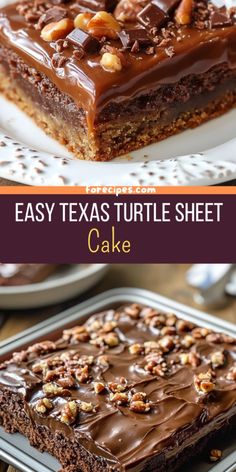 easy texas turtle sheet cake with chocolate frosting and nuts