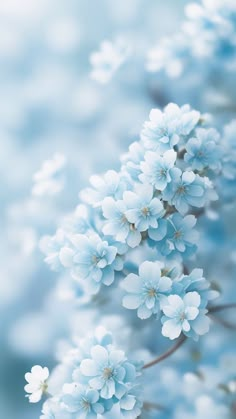 blue flowers are in the foreground, with blurry sky in the back ground