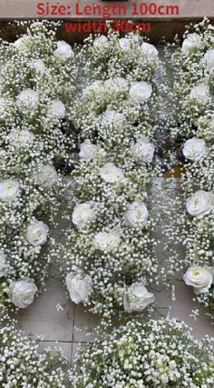 white flowers are arranged in rows on the ground