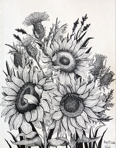 a black and white drawing of sunflowers