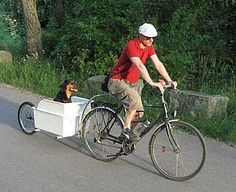 a man riding a bike with a dog in the back basket on the side of it