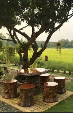 a tree stump table and stools in the middle of a yard with an open field behind it