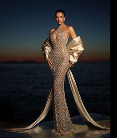 Dinner Gown, Elegant Dresses Classy, Effortlessly Chic Outfits, Prom Dress Inspiration, Beautiful Prom Dresses