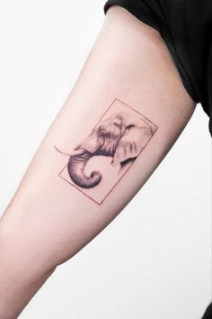 an elephant tattoo on the right arm