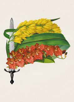 a drawing of flowers and a knife on a white background with an illustration of the same flower