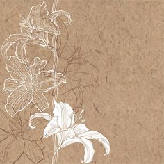 a drawing of flowers on a piece of paper