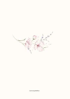 some pink flowers on a white background with the words lavenaynation written below it