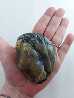 a person holding a rock in their hand