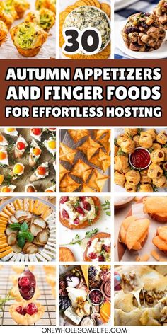 collage of fall appetizer recipes. Mini Appetizers For Thanksgiving, Fall Party Finger Food Ideas, Appetizer Recipes Non Dairy, Thanksgiving Healthy Appetizers, Fall Appetizers Healthy, Easy Delicious Appetizers Finger Foods, Fall Heavy Appetizers, Thanksgiving Snacks Healthy, Healthy Appetizers For Thanksgiving