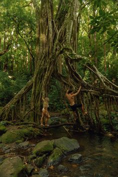 two young men climbing over a small stream in the woods with trees growing on them