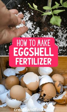 Using eggshells for plants: eggshell fertilizer and eggshell water. Natural Plant Fertilizer, Vegetables Garden, Garden Remedies, Vegetable Garden Diy, Backyard Vegetable Gardens, Garden Compost, Smart Garden, Fertilizer For Plants, Veg Garden