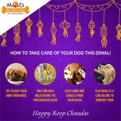 happy roop chandans with dogs and their names on purple background for diwaling