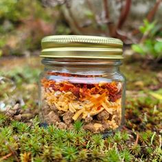 a glass jar filled with food sitting on top of moss covered ground next to plants