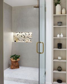 a bathroom with a walk in shower next to a shelf filled with potted plants