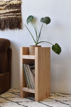 a potted plant sitting on top of a wooden shelf next to a brown chair