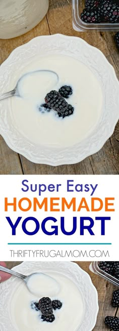 homemade yogurt with blueberries and blackberries in it on a white plate