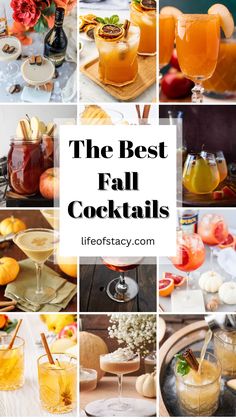 Collection of fall cocktails Fall Martinis Recipes, Fall Mixed Drinks, Apple Martinis, Fall Drink Recipes, Craft Cocktail Recipe, Thanksgiving Cocktails