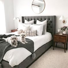 two white dogs laying on a bed in a bedroom with gray and white decor,