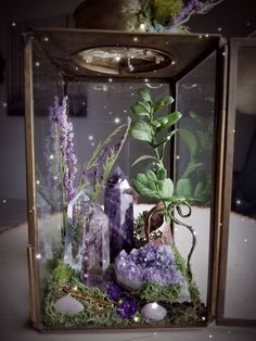 a glass box filled with rocks and plants