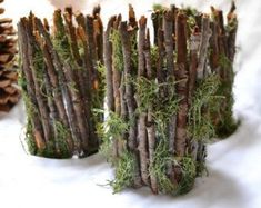 three small vases with moss and pine cones