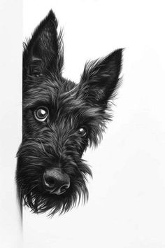 a black and white drawing of a dog peeking out from behind a wall