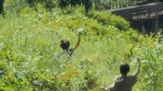 two children are playing in the tall grass