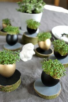 there are many small plants in black and gold pots on top of each other at the table